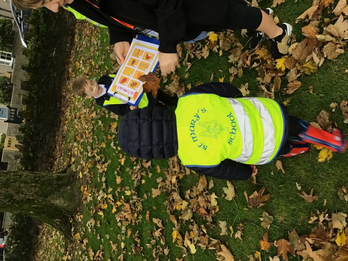 708_708_e1cea67b6c4863db2f6281d03fe68407.jpeg?m=1760435828