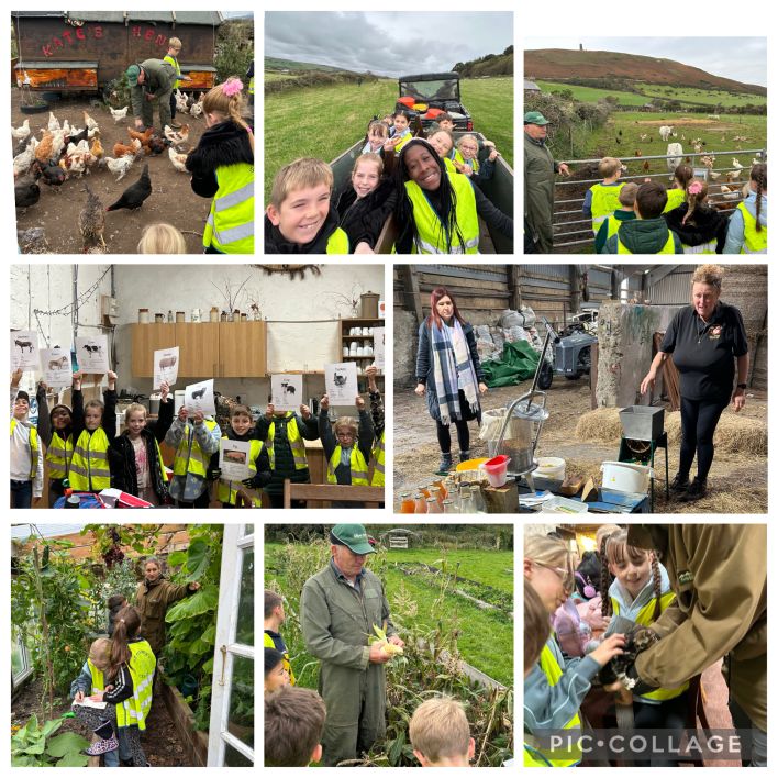 708_708_7f3db2123be44d6b6e6c28efebdf33c6.jpg?m=1761764189