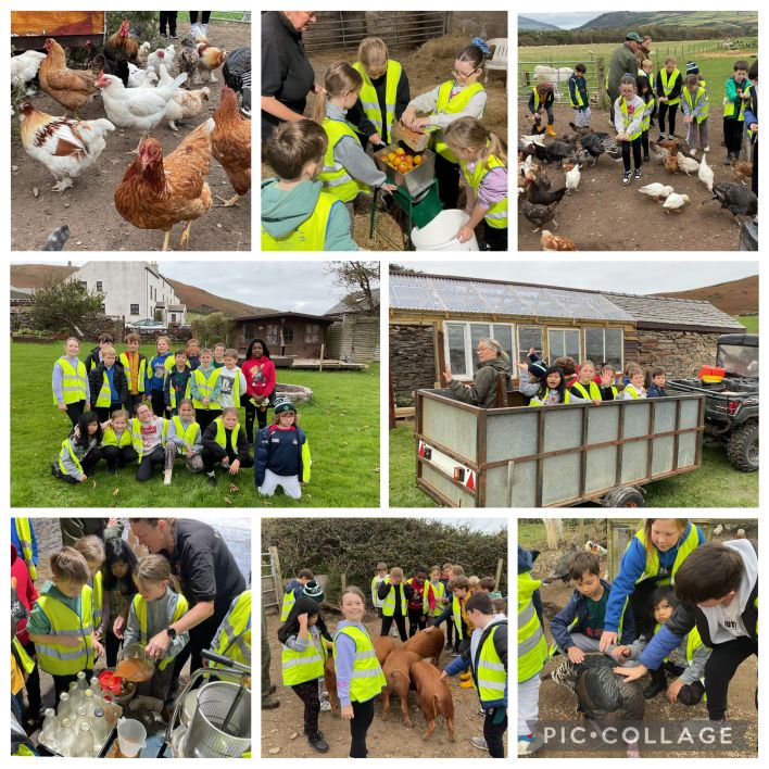 708_708_22e20981703aa9641a19c5a0f2b8a419.jpg?m=1761764464