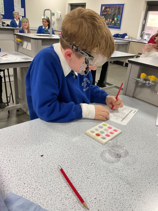 708_708_2cb919bdc9c5b476187cdbf83dd44bbe.jpeg?m=1762980783