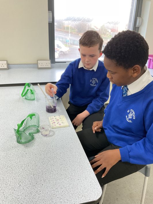 708_708_c65f0ee7080076fb50d63ed3e2a3d410.jpeg?m=1762980757