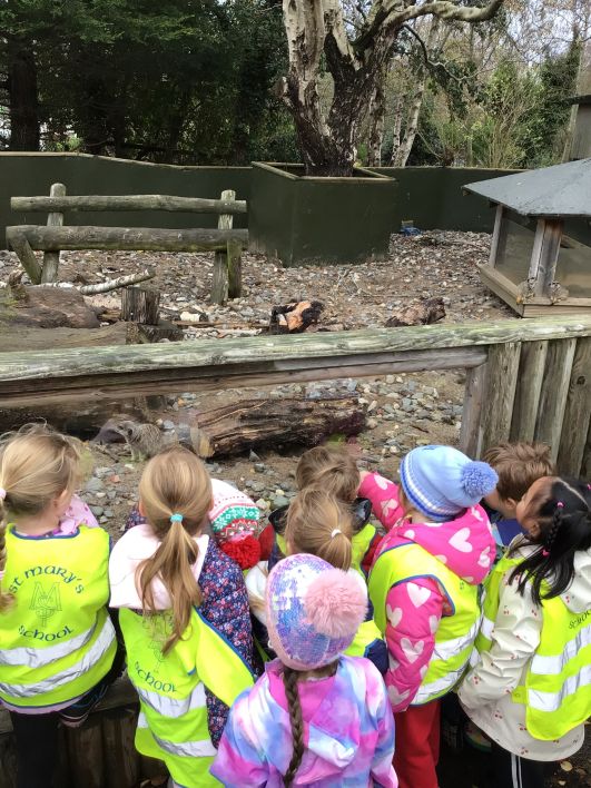 708_708_315cedb52b7ee6c34e344aefda40995e.jpeg?m=1763549415