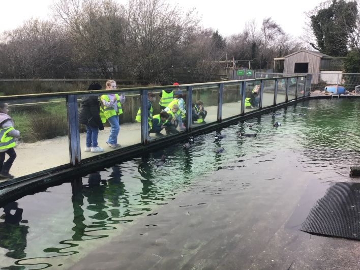 708_708_1eea9ceb673ac1cdb7d8b39106d5d4aa.jpeg?m=1764318481