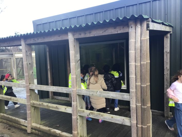 708_708_ad934871c9e457ddbc146d111c81117b.jpeg?m=1764318434