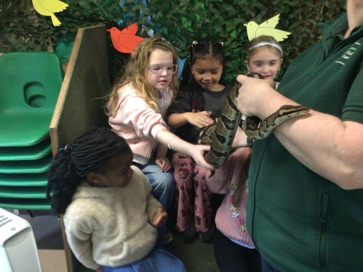 708_708_8ebb2139781e039cfaa546720d674c09.jpeg?m=1764318559