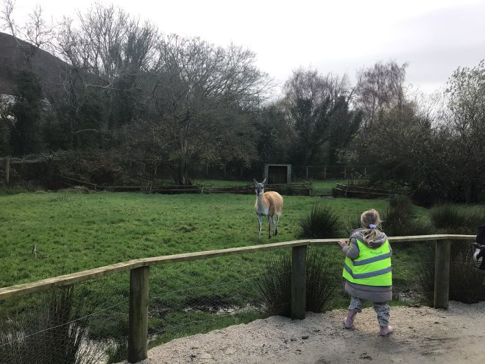 708_708_3702c3cd0f77818f115d239f7d75c970.jpeg?m=1764318488