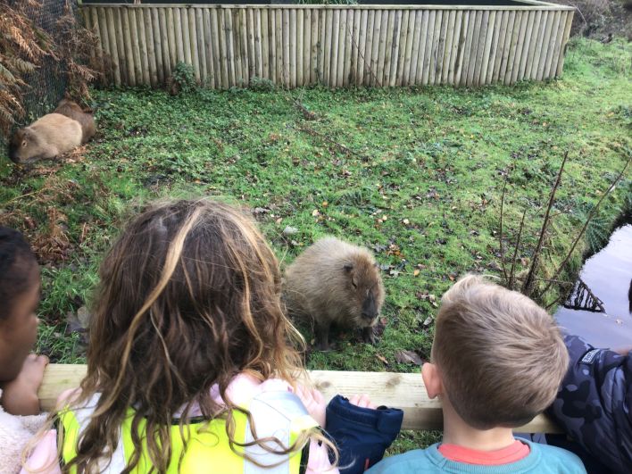 708_708_a019c3716e3e991b1cf4f7b3e9598911.jpeg?m=1764318513