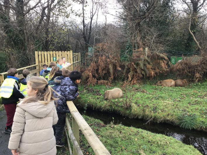 708_708_ebe6122294491e99e86041d9d673cbb5.jpeg?m=1764318506