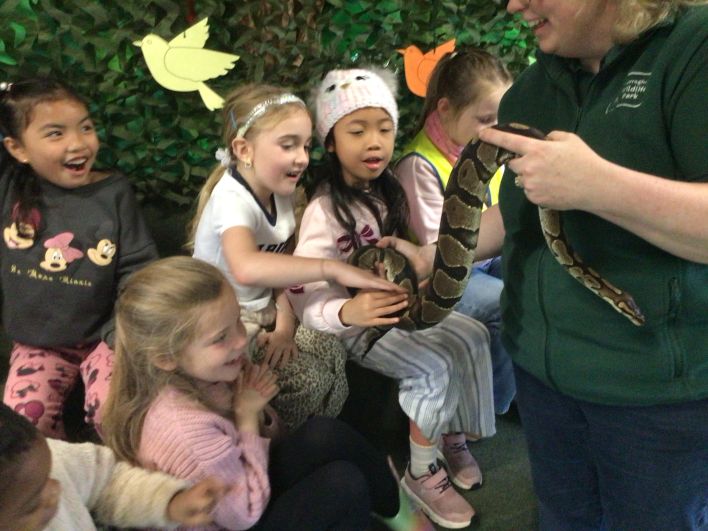 708_708_6d8065fcf443606ca715651f72faa99e.jpeg?m=1764318459