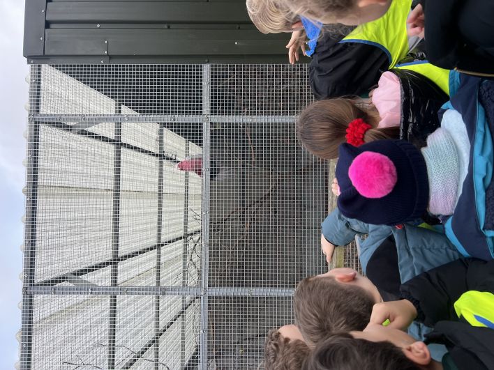 708_708_57df733f04f690a8410c8e2428683d1d.jpeg?m=1764325308