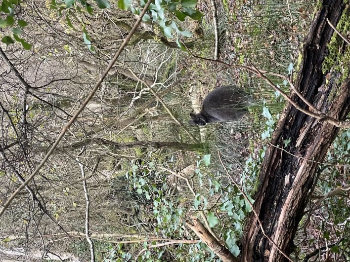 708_708_4d48db69906ac2928b3d3db81ae58d00.jpeg?m=1764325346