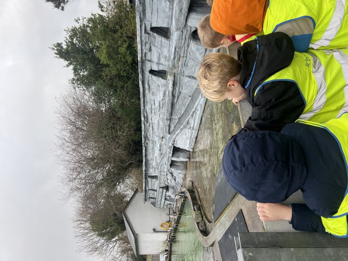 708_708_c8e44bbfdbe30ac00f9ca147a33dae61.jpeg?m=1764325417