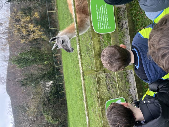 708_708_5583c5a280ef0582d73ac25487c30f5a.jpeg?m=1764325428