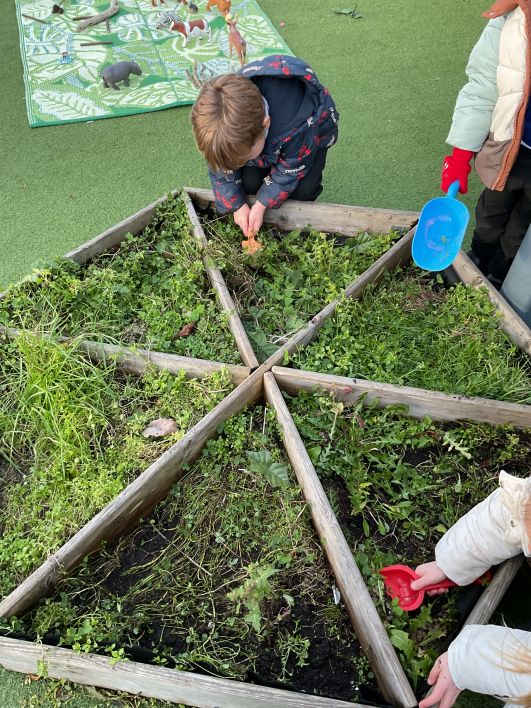 708_708_f8342eb3b864f052981e8ba6922abc99.jpeg?m=1764762367