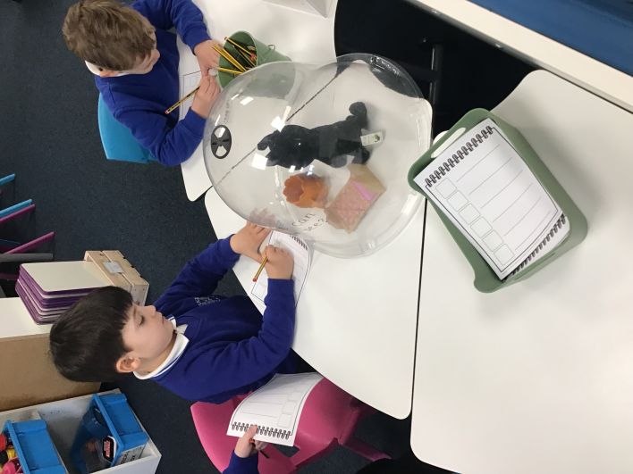 708_708_076741ce72bac4979e4f015890a7a4d0.jpeg?m=1768907386