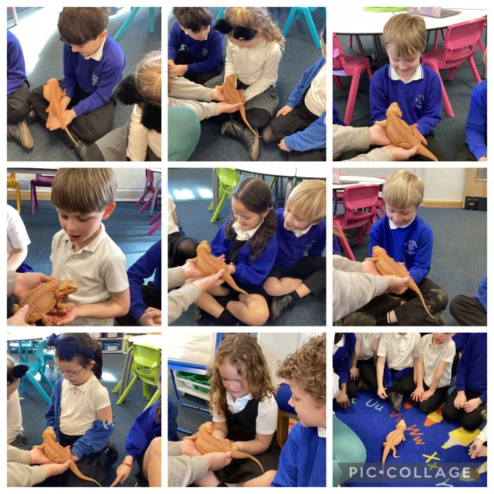 708_708_5e8f123917840fb61e9ad7ed6e2499f9.jpg?m=1772619421