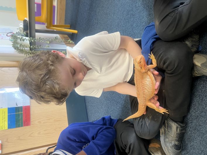 708_708_0babed5c5b9db8067431d0a8c16b9b66.jpeg?m=1772619454