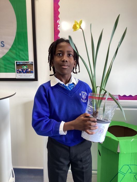 708_708_9b681501fefc4102e3797ec2930fb3ad.jpeg?m=1772727894